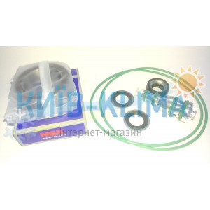 RGS100 Ремкомплект компресора GM/Delphi