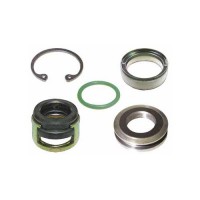 SL12 Сальник валу D=25.50mm SANDEN