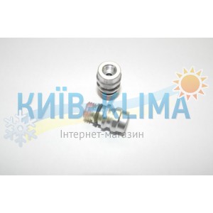 sv01 Сервісний клапан Chrysler, Ford, GM, Isuzu, VW, Seat Висока сторона