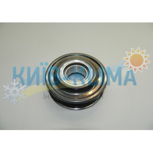 ..Шків с підшипником d=100, пазів 6