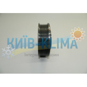 ..Шків с підшипником d=100, пазів 6