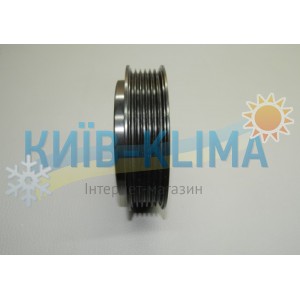 ..Шків с підшипником d=110, пазів 6