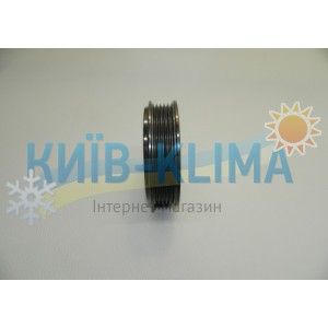 ..Шків с підшипником d=100 пазів 5