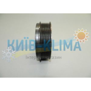 ..Шків с підшипником d=100 пазів 6