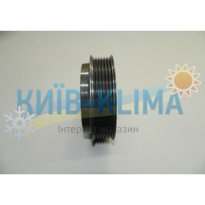 ..Шків с підшипником d=110 пазів 6
