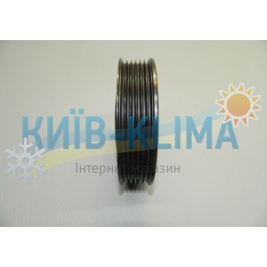 ..Шків с підшипником d=110 пазів 6